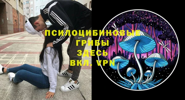 бутират Медвежьегорск