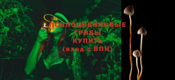 MDMA Медногорск