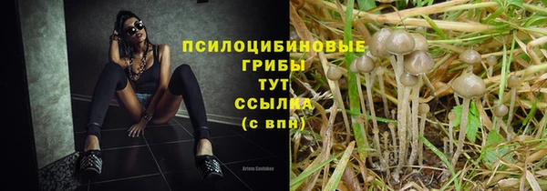 MDMA Медногорск
